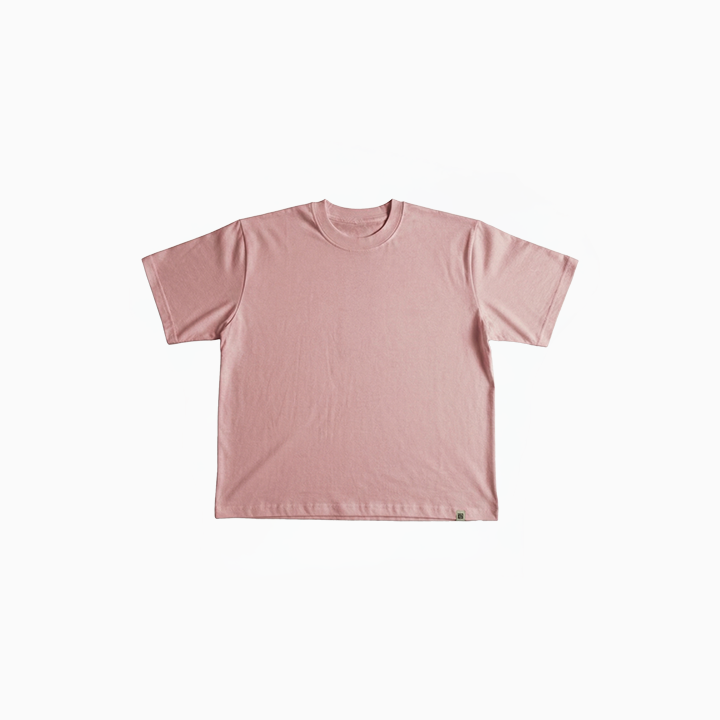 Polo Neo VBasic 2.0