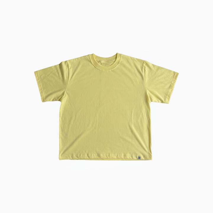 Polo Neo VBasic 2.0