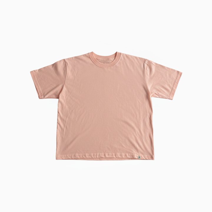 Polo Neo VBasic 2.0