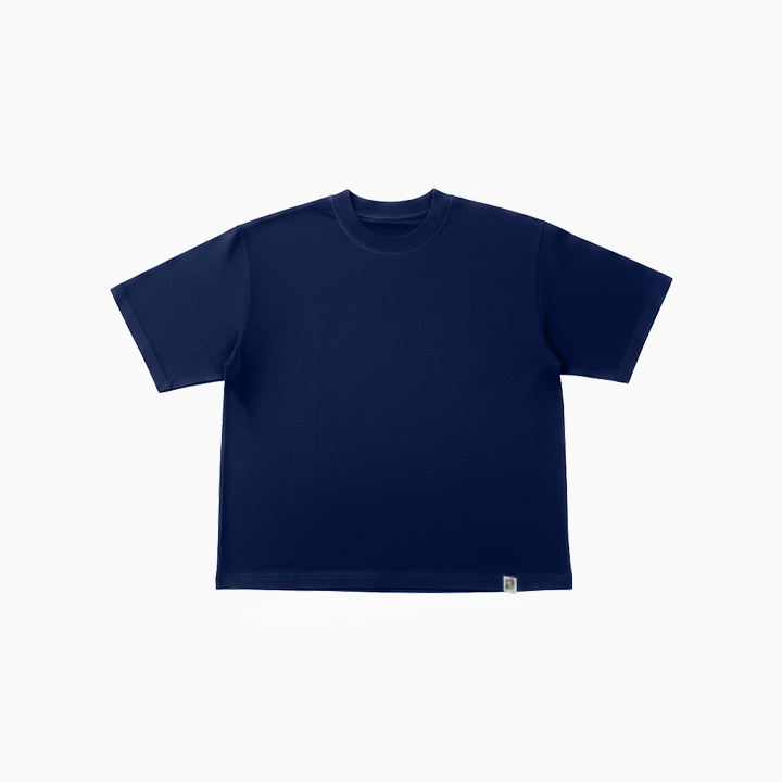 Polo Neo VBasic 2.0
