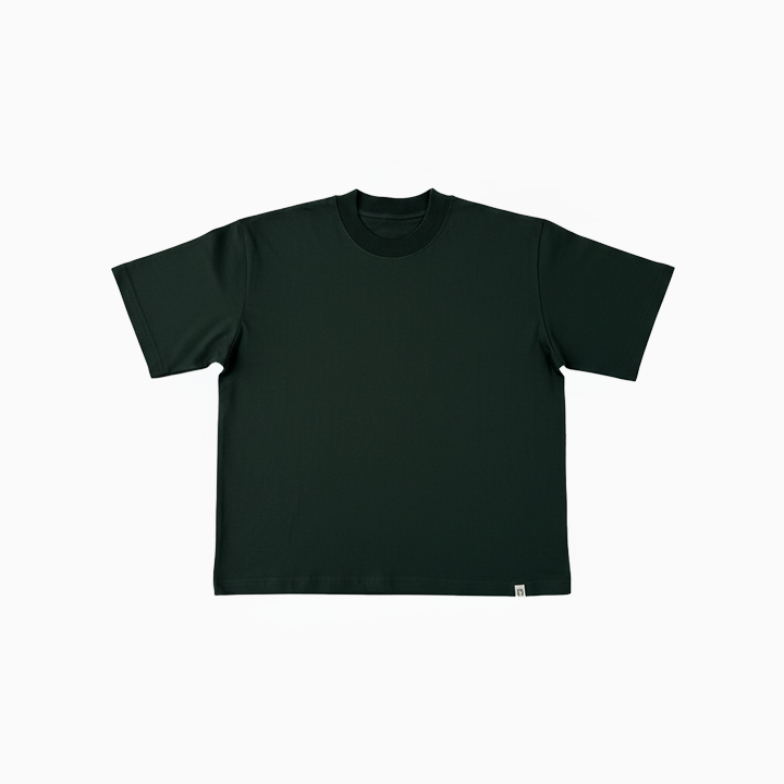 Polo Neo VBasic 2.0