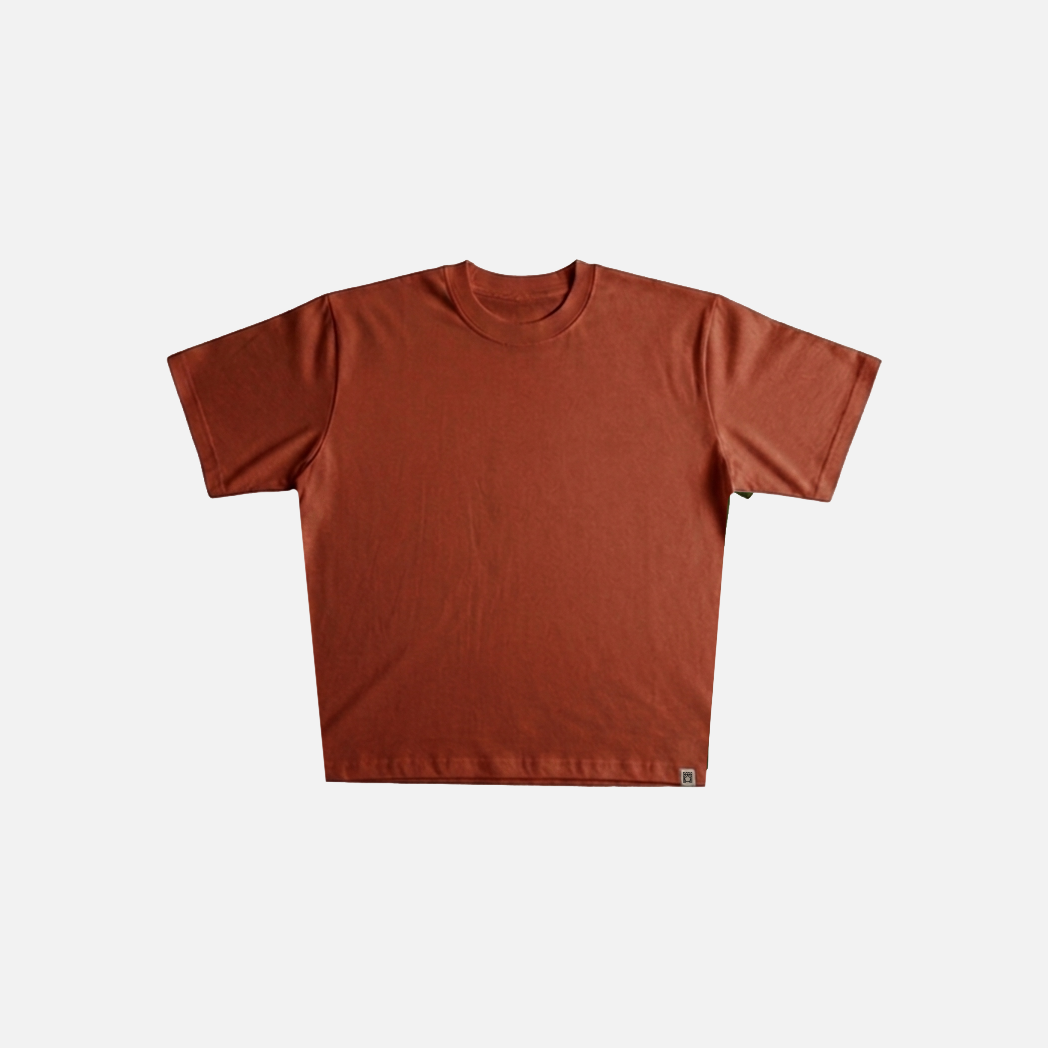 Polo Neo VBasic 2.0