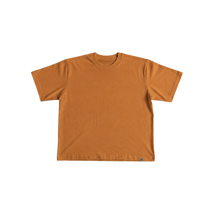 Polo Neo VBasic 2.0